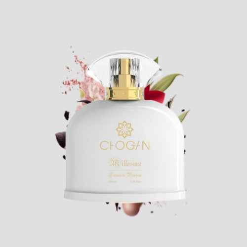 Chogan 023 Damen Parfum Dupe von OLFAZETA - 100ml mit visueller Darstellung der Duftnoten