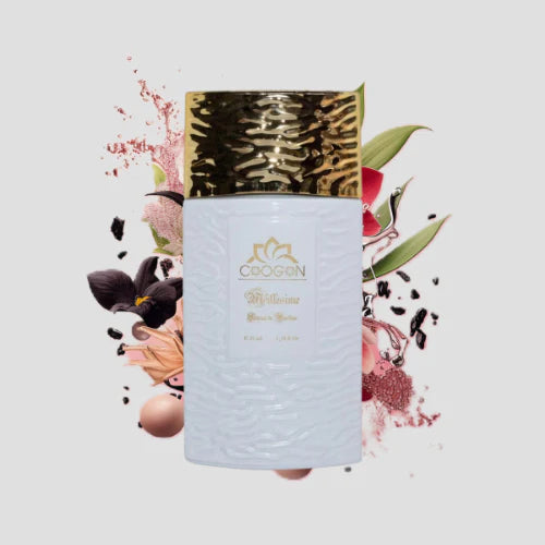 Chogan 023 Damen Parfum Dupe von OLFAZETA - 35ml mit visueller Darstellung der Duftnoten