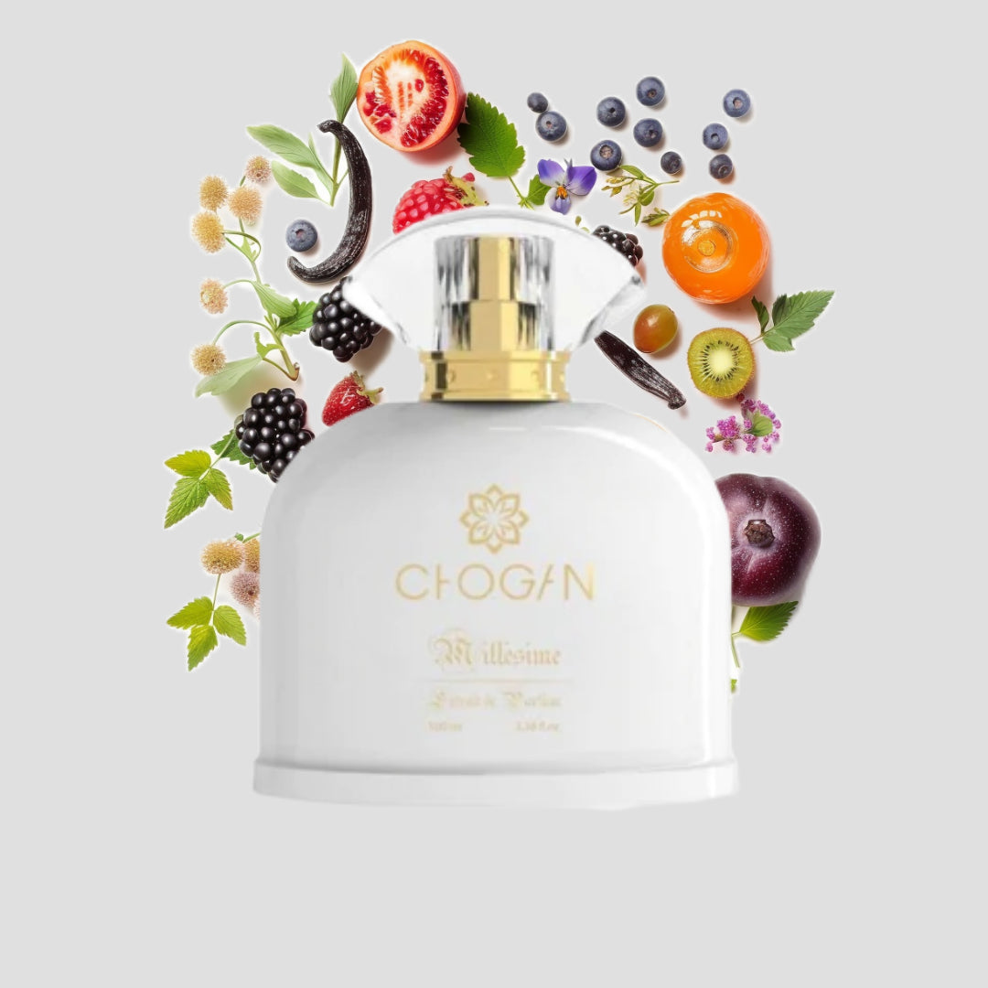 Chogan 042 Damen Parfum Dupe von OLFAZETA - 100ml mit visueller Darstellung der Duftnoten