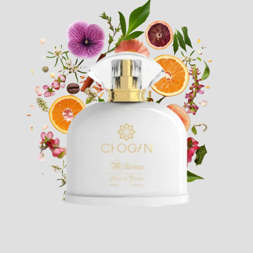 Chogan 055 Damen Parfum Dupe von OLFAZETA - 100ml mit visueller Darstellung der Duftnoten