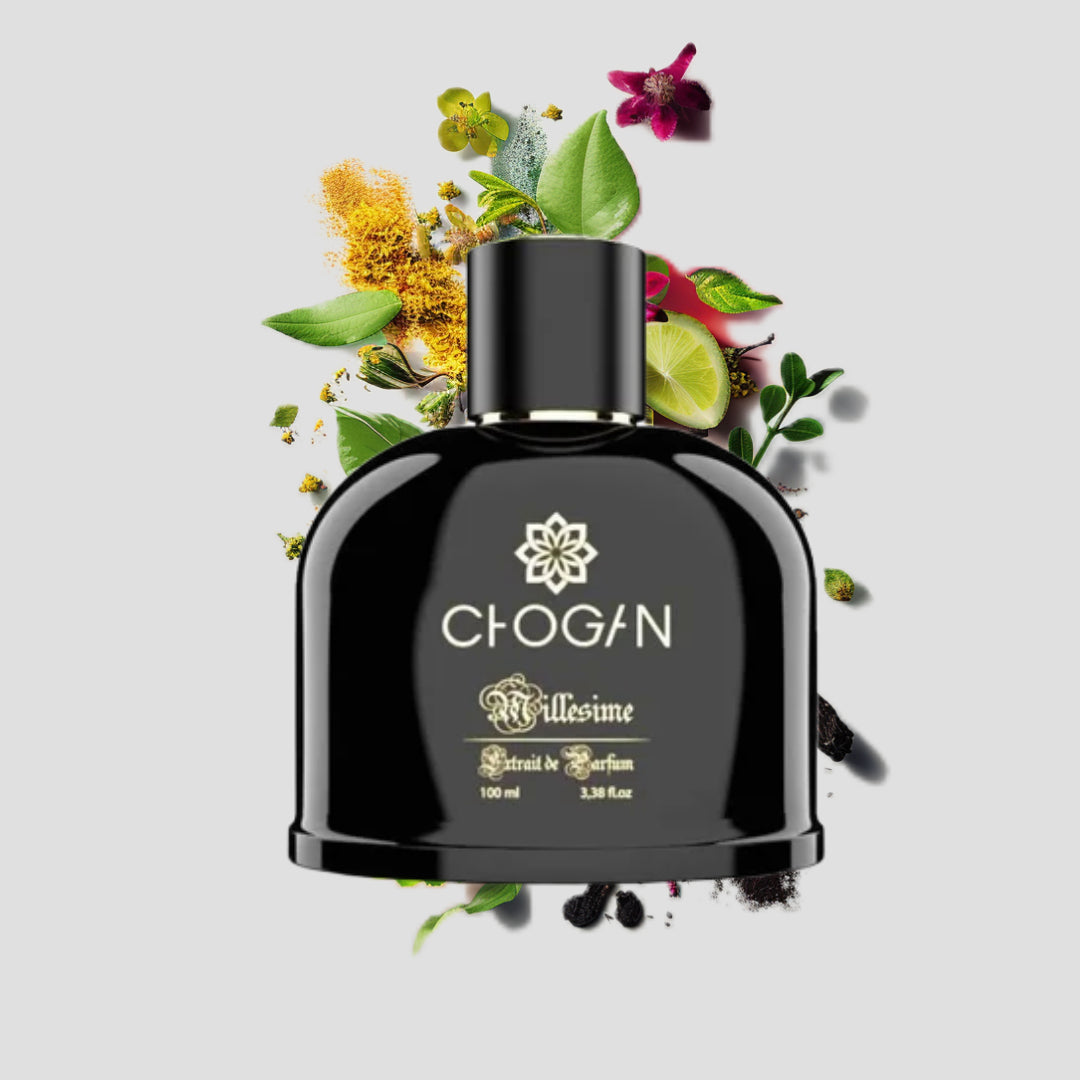 Chogan 066 Parfum Herren von Olfazeta mit visueller darstellung der Duftnoten 100ml