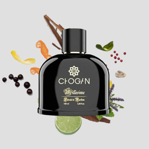 Chogan 068 Parfum Herren von Olfazeta mit visueller darstellung der Duftnoten 100ml