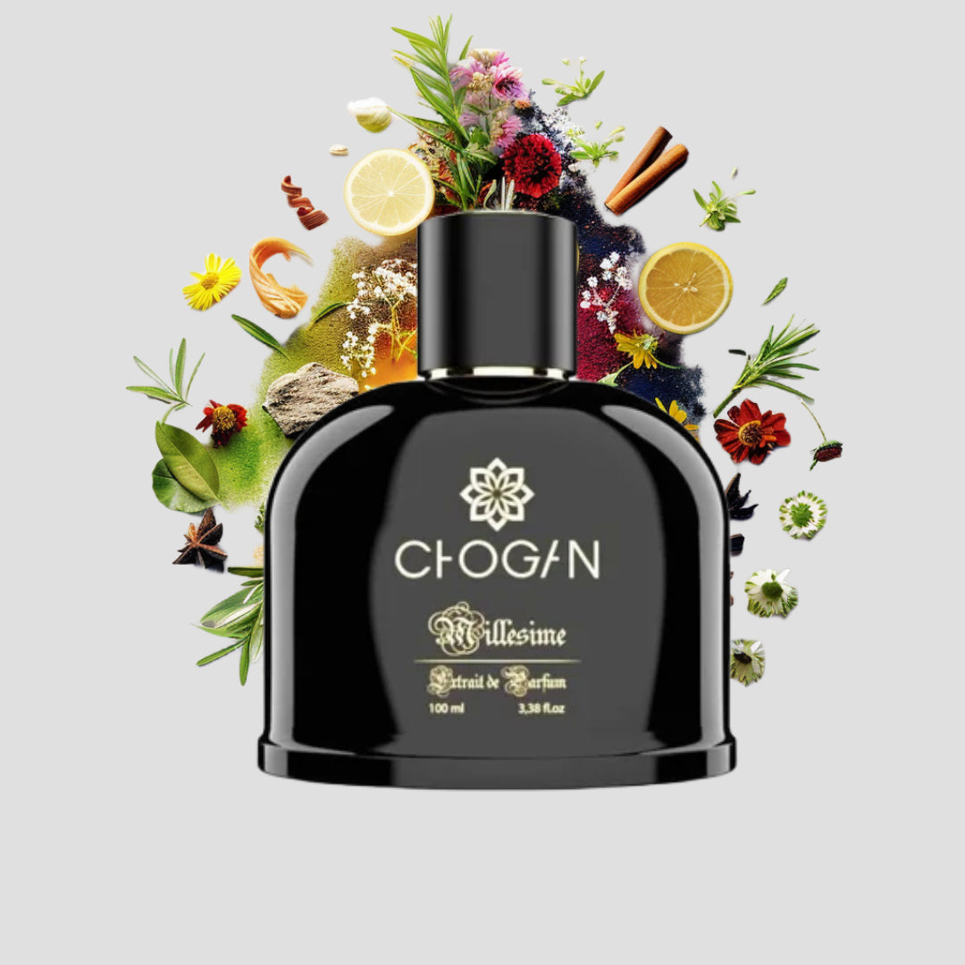 Chogan 091 Parfum Herren von Olfazeta mit visueller darstellung der Duftnoten abgebildet 100ml