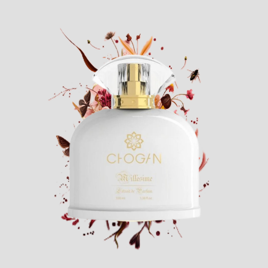 Chogan 119 Parfum Damen von Olfazeta mit visueller darstellung der Duftnoten 100ml