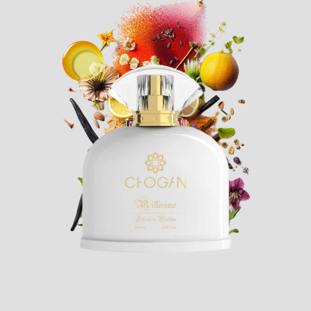 Chogan 014 Damen Parfum Dupe von OLFAZETA - 100ml mit visueller Darstellung der Duftnoten
