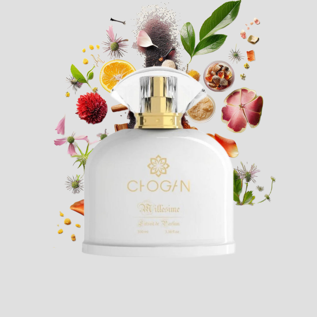 Chogan 025 Damen Parfum Dupe von OLFAZETA - 100ml mit visueller Darstellung der Duftnoten
