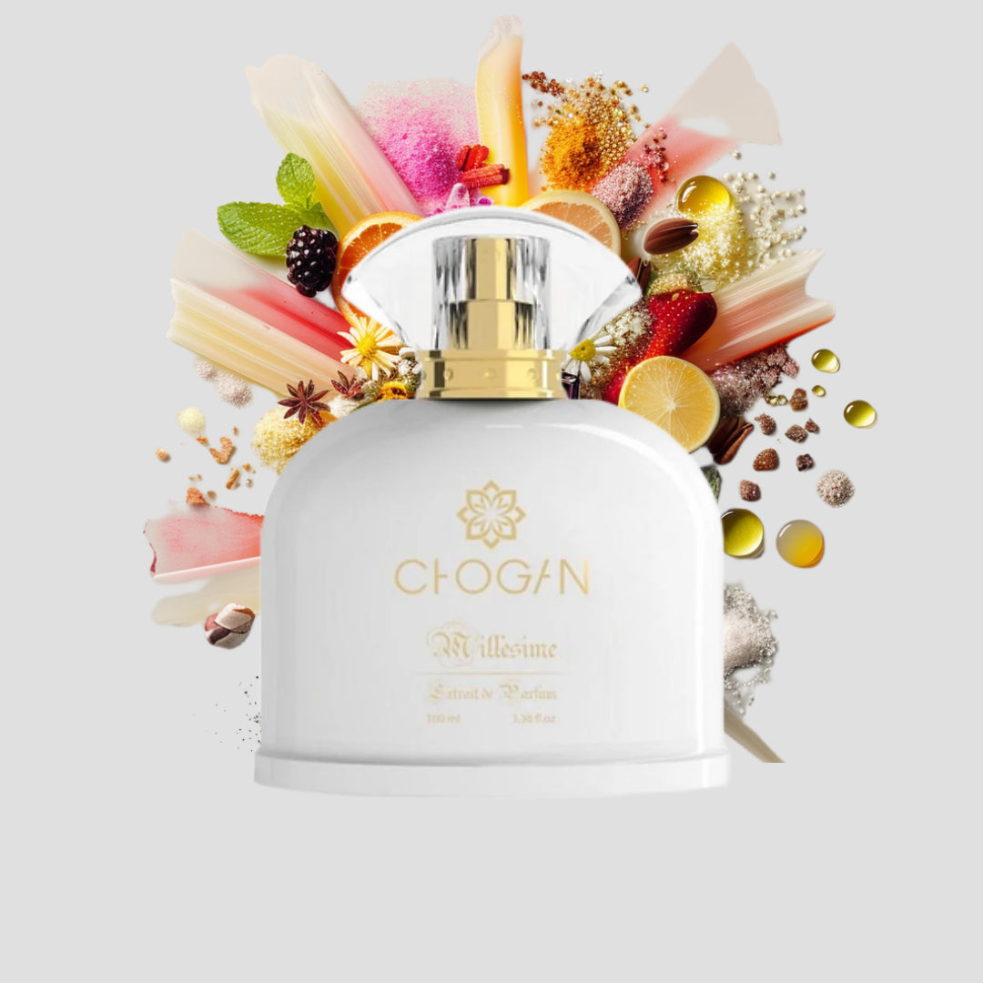 Chogan 028 Damen Parfum Dupe von OLFAZETA - 100ml mit visueller Darstellung der Duftnoten
