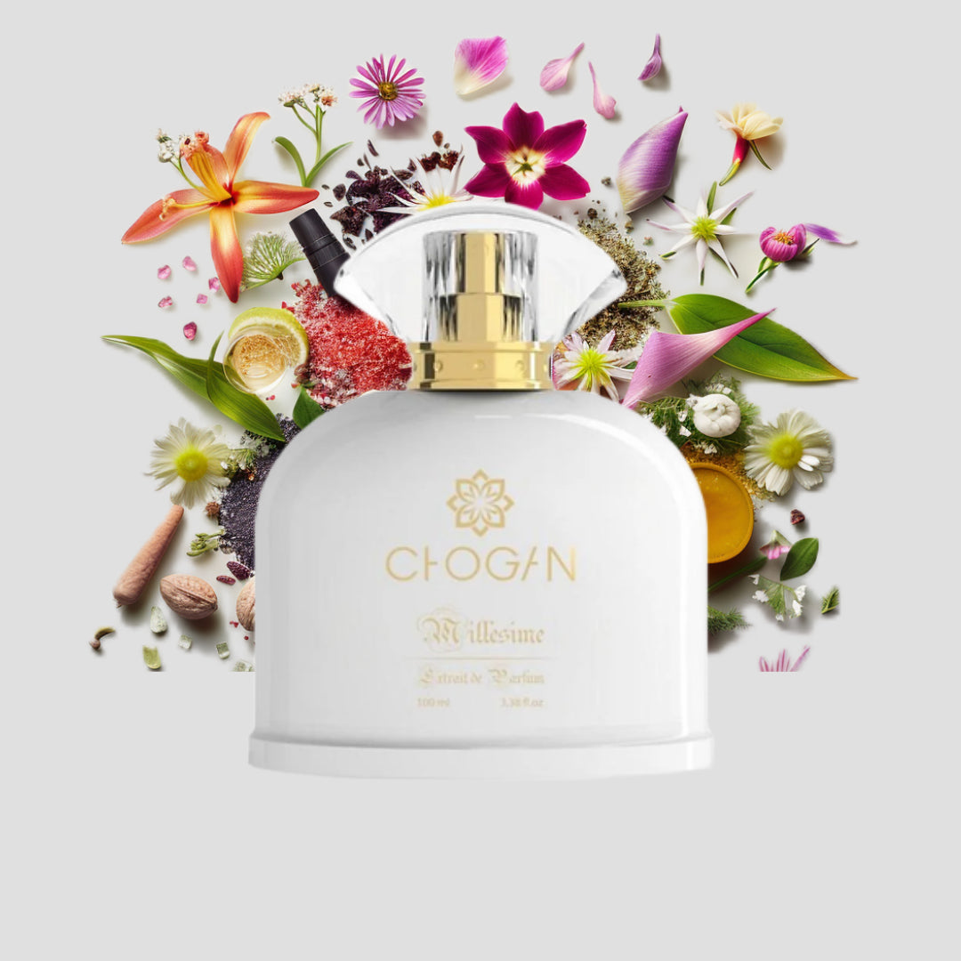 Chogan 029 Damen Parfum Dupe von OLFAZETA - 100ml mit visueller Darstellung der Duftnoten
