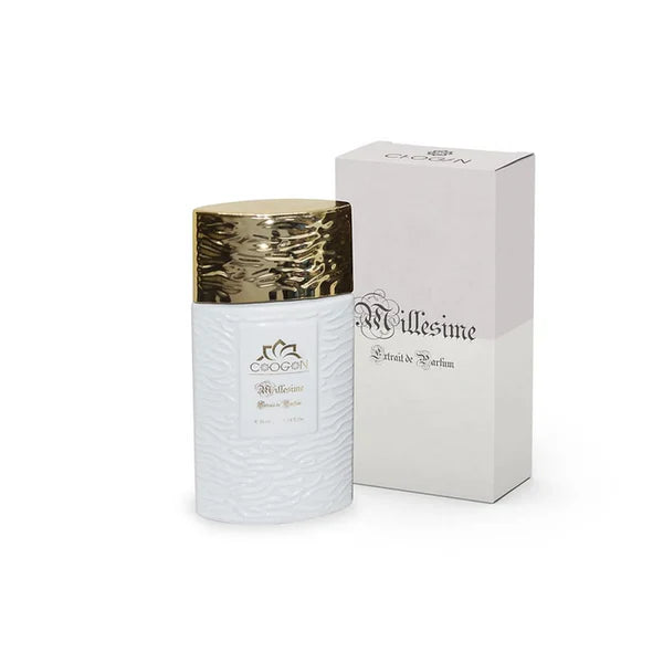Chogan 029 Damen Parfum Dupe von OLFAZETA mit abgebildeter Verpackung - 35ml

