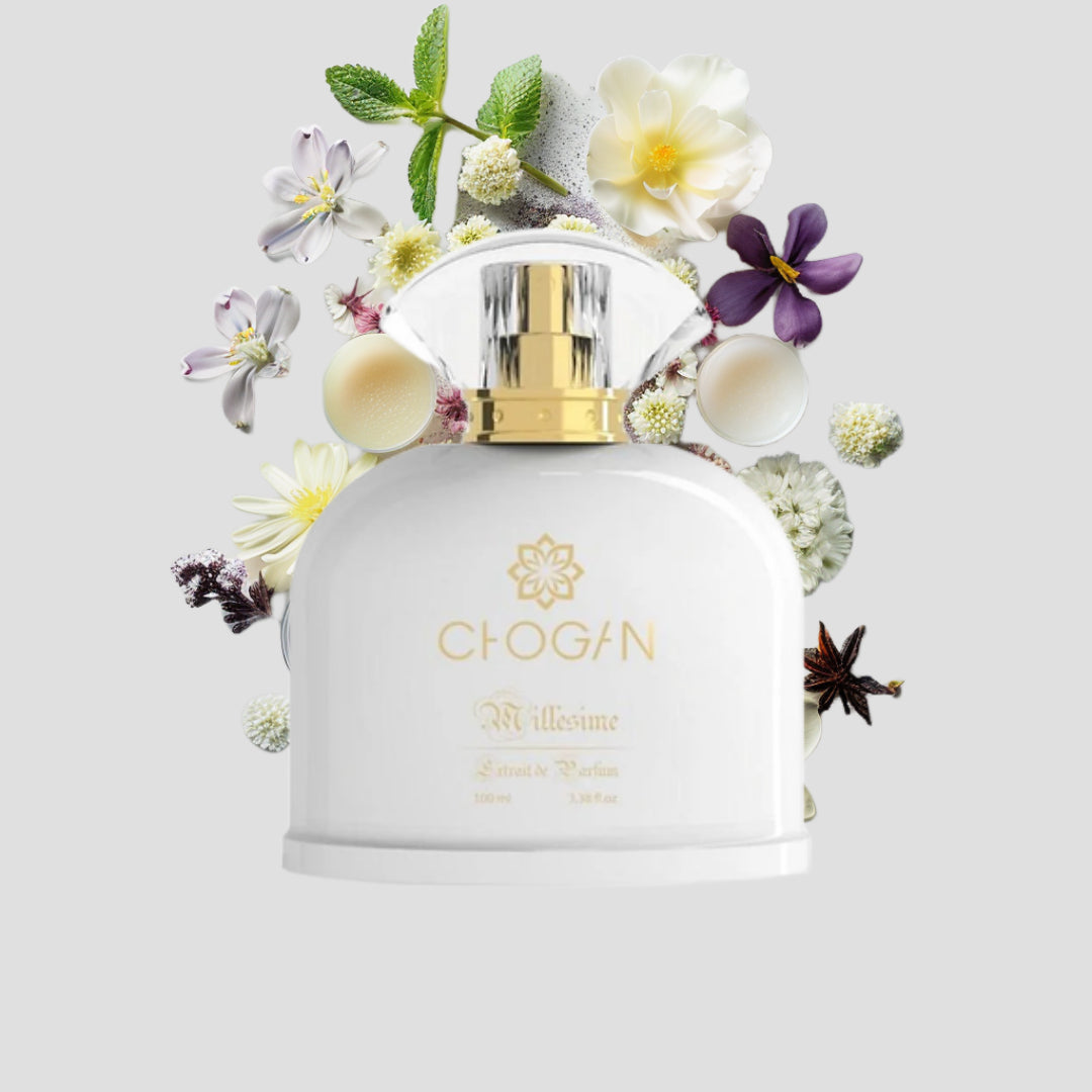Chogan 034 Damen Parfum Dupe von OLFAZETA - 100ml mit visueller Darstellung der Duftnoten
