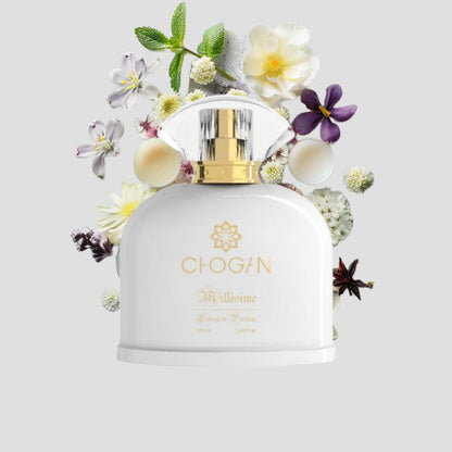 Chogan 034 Damen Parfum Dupe von OLFAZETA - 100ml mit visueller Darstellung der Duftnoten
