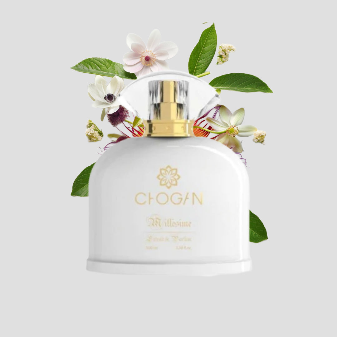 Chogan 040 Damen Parfum Dupe von OLFAZETA - 100ml mit visueller Darstellung der Duftnoten
