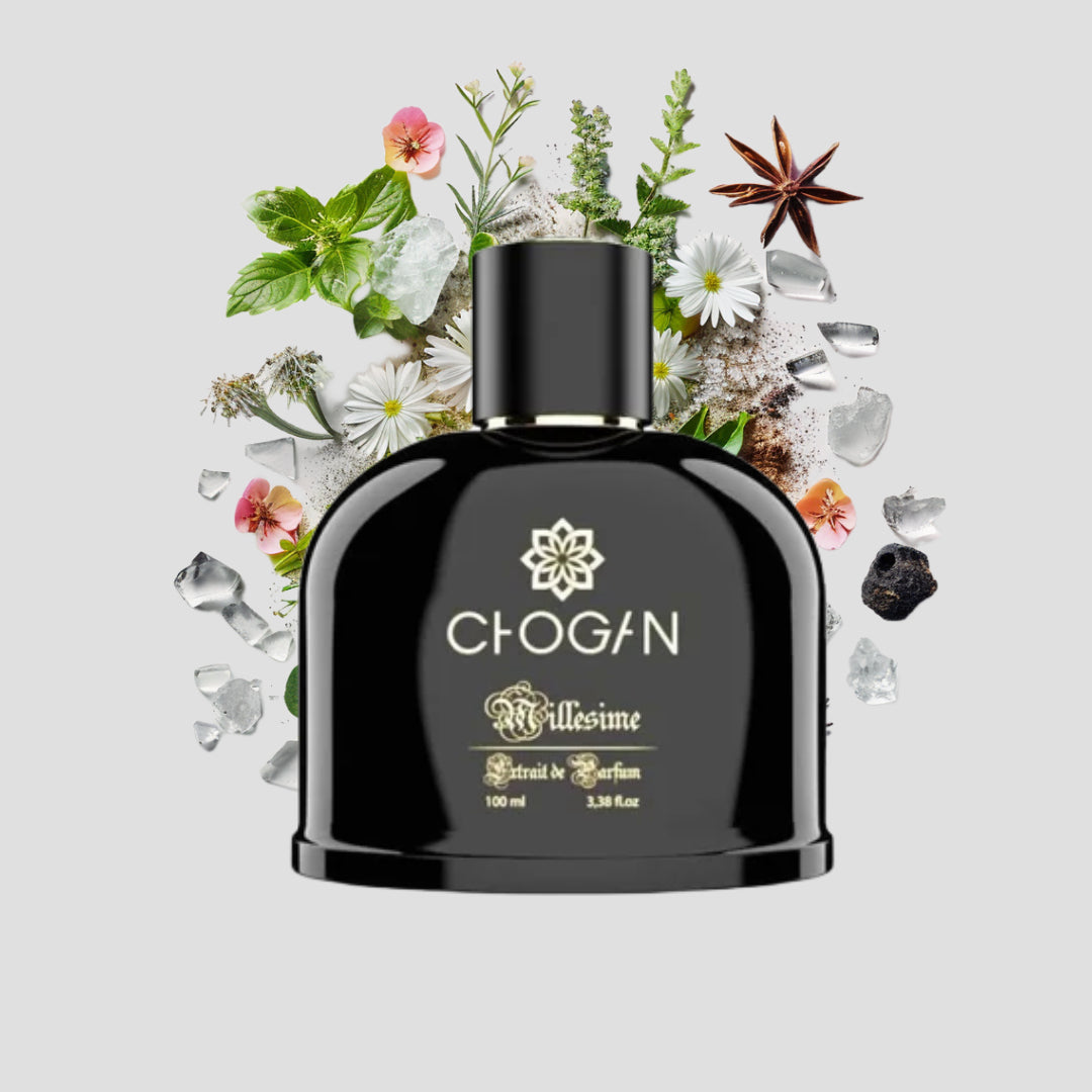 Chogan 069 Parfum Herren von Olfazeta mit visueller darstellung der Duftnoten 100ml