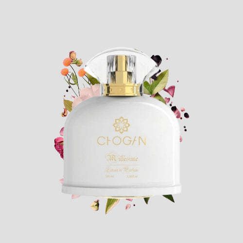 Chogan 077 Damen Parfum Dupe von OLFAZETA - 100ml mit visueller Darstellung der Duftnoten
