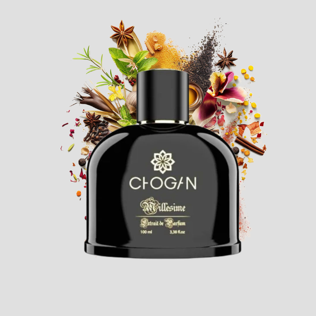 Chogan 088 Parfum Herren von Olfazeta mit visueller darstellung der Duftnoten 100ml